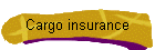 Cargo insurance